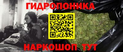 дмт Заволжье