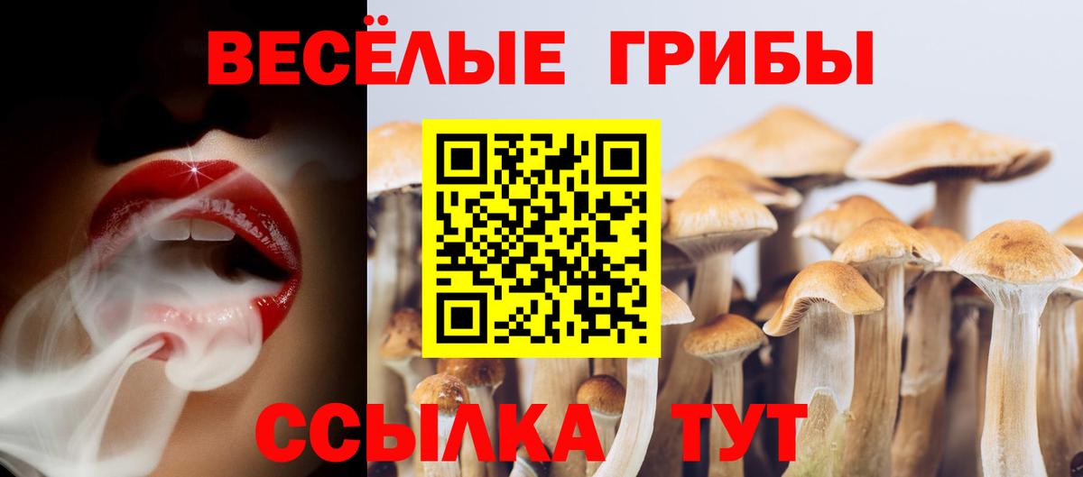 Псилоцибиновые грибы GOLDEN TEACHER Гусиноозёрск