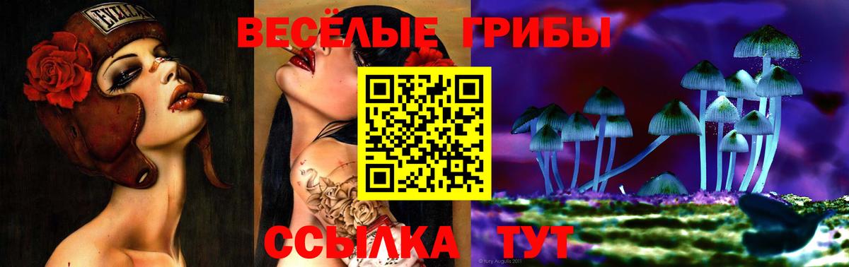 Псилоцибиновые грибы Magic Shrooms  Вход с VPN  Галлюциногенные грибы прущие грибы  Гусиноозёрск 